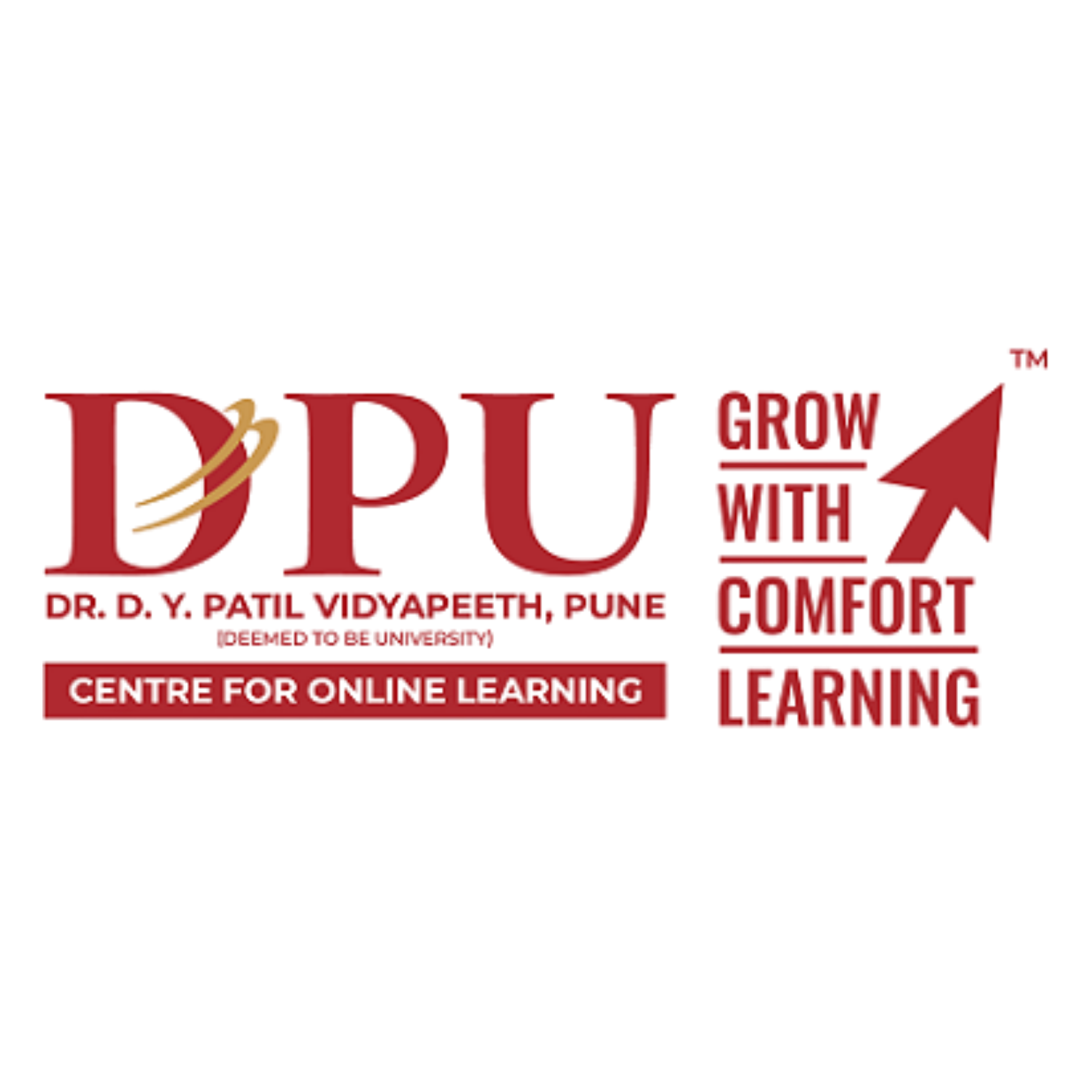 DY Patil University